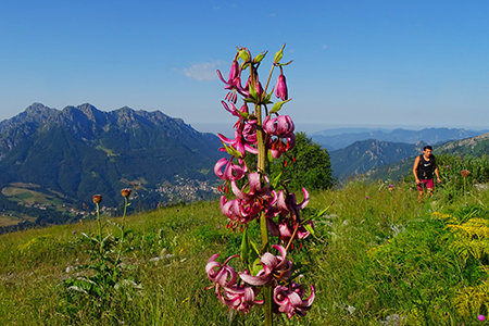 SENTIERO DEI FIORI ‘Claudio Brissoni’ da Capanna 2000 il 10 luglio 2023- FOTOGALLERY